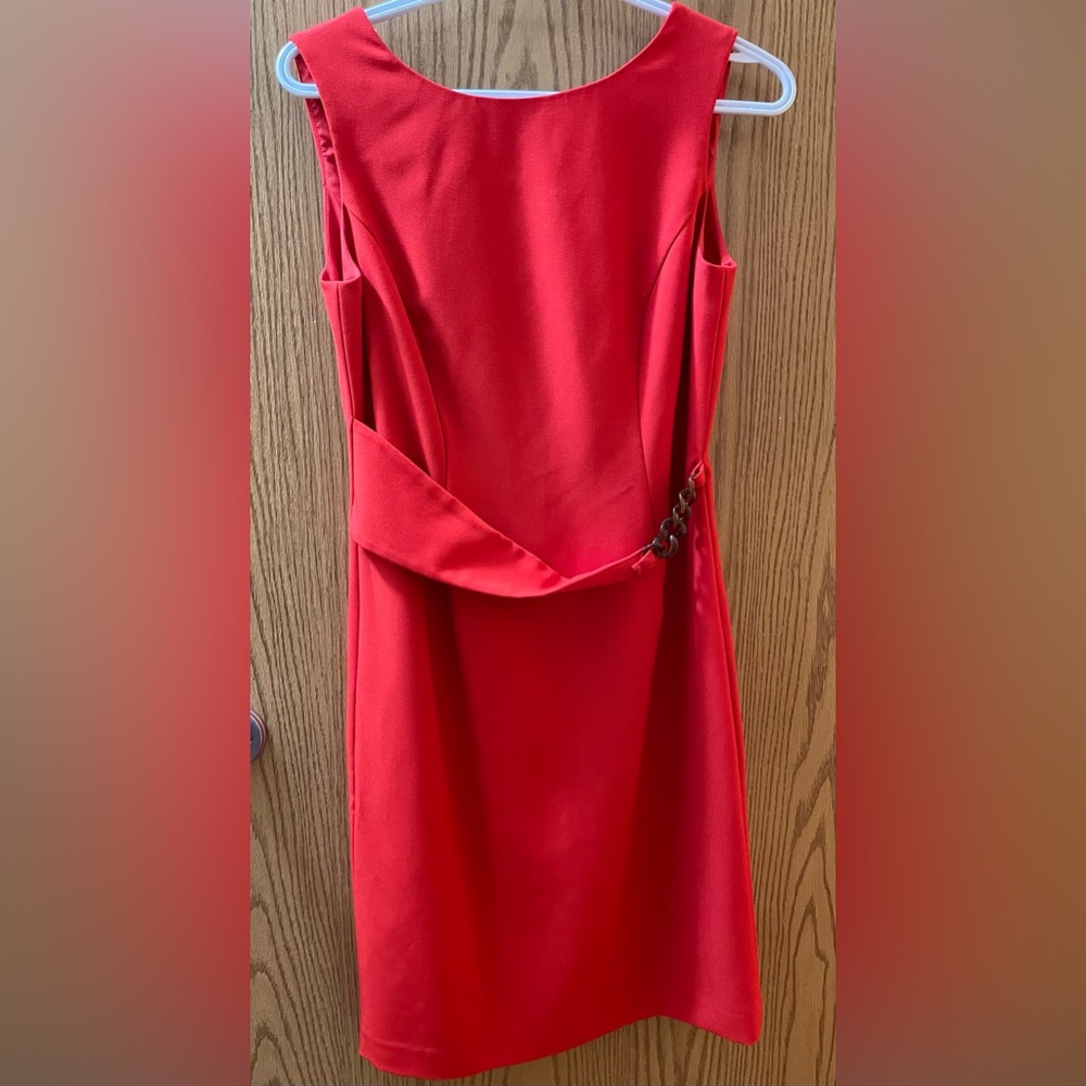 Elegant Ellen Tracy dress. New, without tags, never worn.